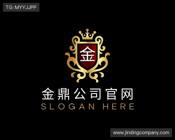 介绍金鼎公司官网